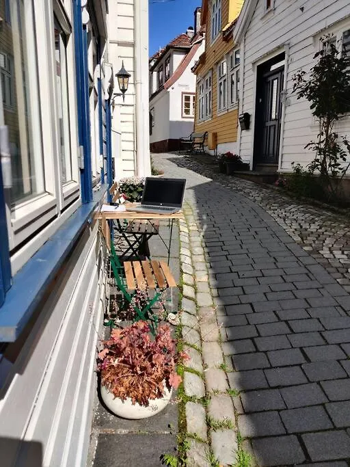 Beautiful Bergen House From 1790 Apartment 0*,